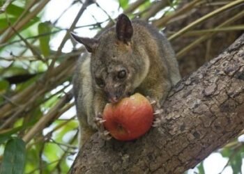 Screenshot 2026 03 12 140235