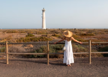 Screenshot 2026 03 26 231245