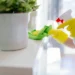 best time to clean