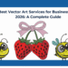 Best Vector Art Services for Businesses in 2026 A Complete Guide 11zon