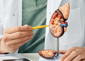 Hidden But Powerful: Dubai’s Most Advanced Kidney Stone Solution Revealed imgi 116 kidney stones 1