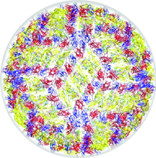 1 1 1 Single Cell Omics Solutions for Primary Tumor Cells 4