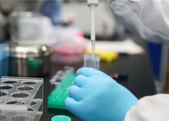 3 4 sars cov 2 detection for veterinary use