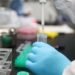 3 4 sars cov 2 detection for veterinary use