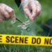 The Accuracy of DNA Testing in Criminal Cases DNACrime Featured