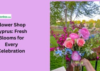 Flower Shop Cyprus Fresh Blooms for Every Celebration