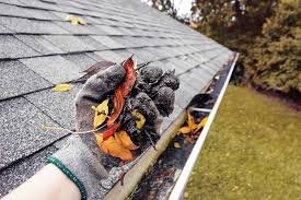 Gutter Cleaning Services