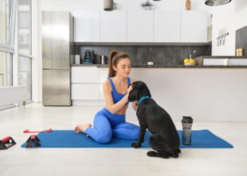 How End of Life Care Decisions for Pets Take Shape at Home0A