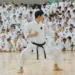 Martial Arts Academy