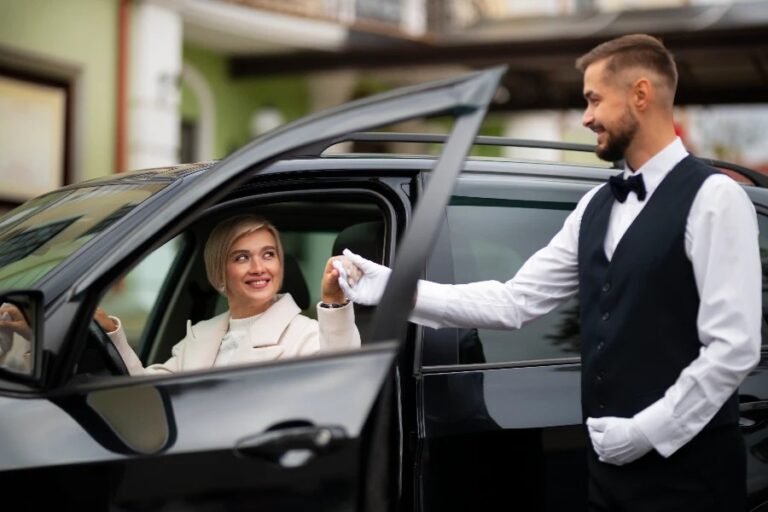 Private Chauffeur Transfer in Madrid 7