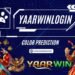 Yaarwinlogin
