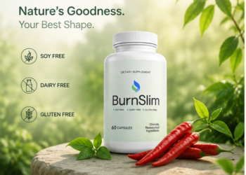 chatgpt burnslim3