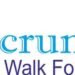 fulcrum resources pvt ltd samarth nagar new sangavi pune internet website designers n74f0qormi