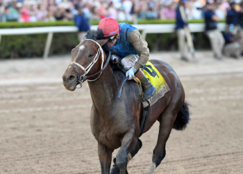 horse race in Chennai1