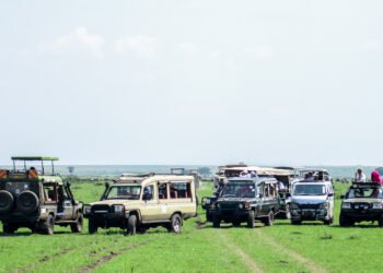 ketsafaris.com Masai Mara 58
