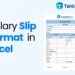 salary slip format