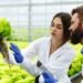 woman man laboratory robes examine carefully plants greenhouse 2
