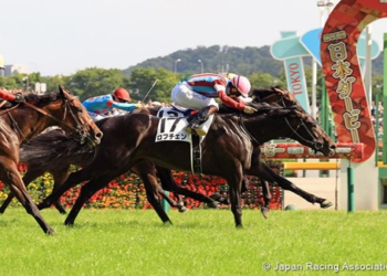 Chennai Horse Race