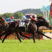Chennai Horse Race Culture Remains Popular Across India Chennai Horse Race