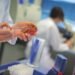 Disinfection Efficacy Studies