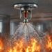 Fire Sprinklers