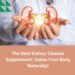 The Best Kidney Cleanse Supplement