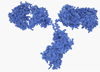 antibodies