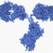 antibodies