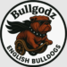 Finding a Trusted Florida English Bulldog Breeder: Your Guide to Healthy, Happy English Bulldog Puppies bulldogz