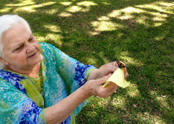 butterfly release for a memorial service