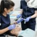 dental hygenist carrer