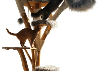Natürlicher Kratzbaum Aus Echtem Holz Für Moderne Katzenhaushalte Heute moderner Kratzbaum mit Futternaepfen
