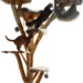 moderner Kratzbaum mit Futternaepfen