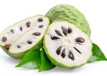 why is soursop illegal in the us