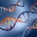 2 1 NGS Based Immuno Oncology Research