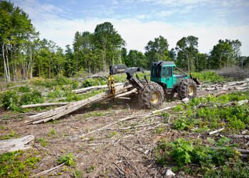 How Modern Forestry Machinery Is Supporting Sustainable Forest Operations in Brazil Forestry Machinery