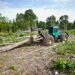 How Modern Forestry Machinery Is Supporting Sustainable Forest Operations in Brazil Forestry Machinery