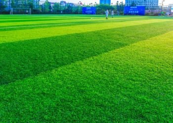 Synthetic Turf 2