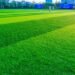 Synthetic Turf 2