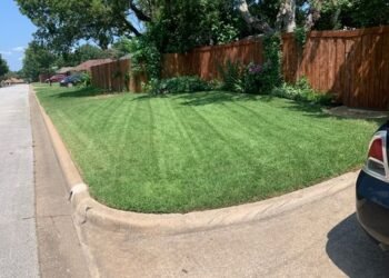 Texterra Lawn Landscaping 12