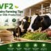 VF2 Smart Dairy Farming Tips for Higher Milk Production