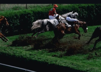 horse race in India