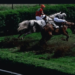 horse race in India