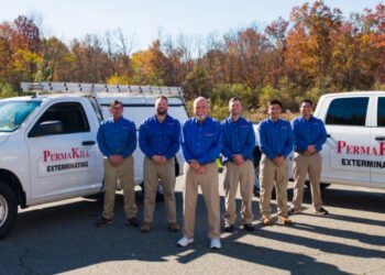 meet the team top img