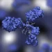 research grade biosimilar antibody