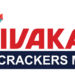 Top 5 Aerial Display Pipes to Buy Online Crackers sck 51