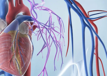 Understanding Graft Selection in Modern Heart Bypass Surgery unnamed 2026 07 21T120826.686