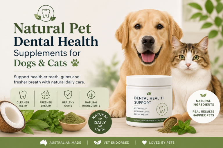 Dental Health