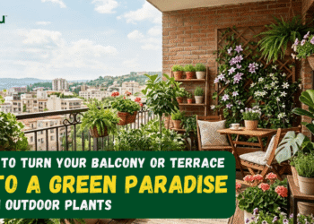 How to Turn Your Balcony or Terrace Into a Green Paradise with Outdoor Plants