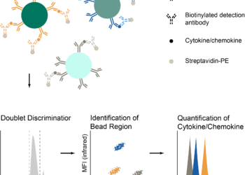 Multiplex Cytokine Detection